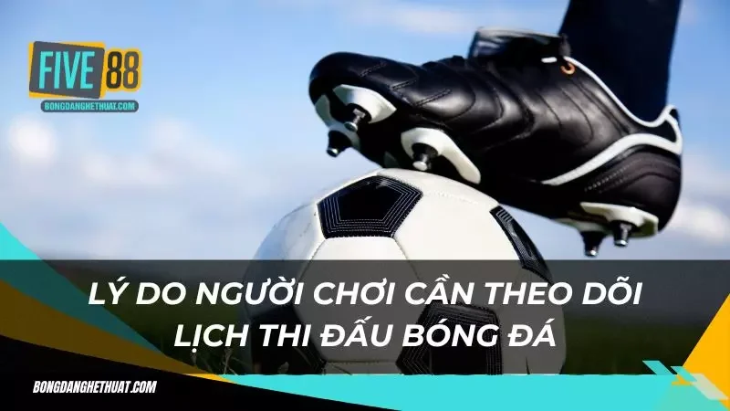 lý do anh em cần phải theo dõi lịch thi đấu